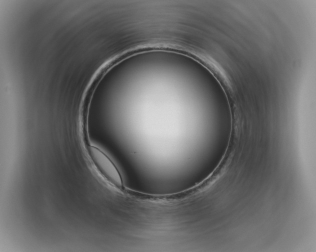 X0000112860896200908211318