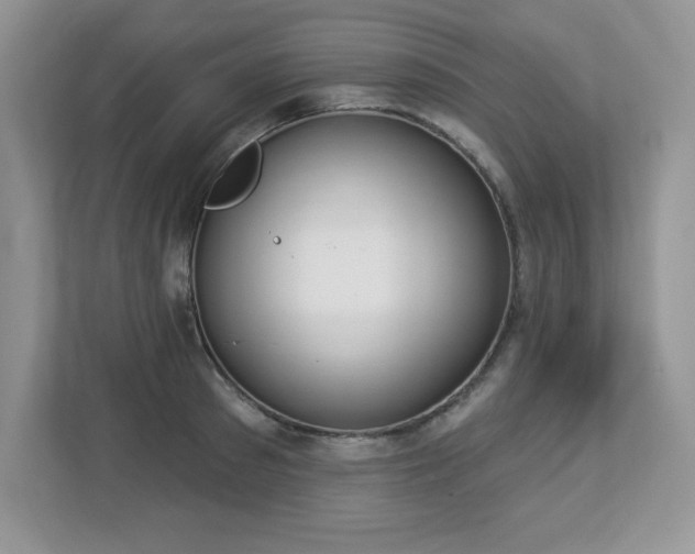 X0000112860897200908211318