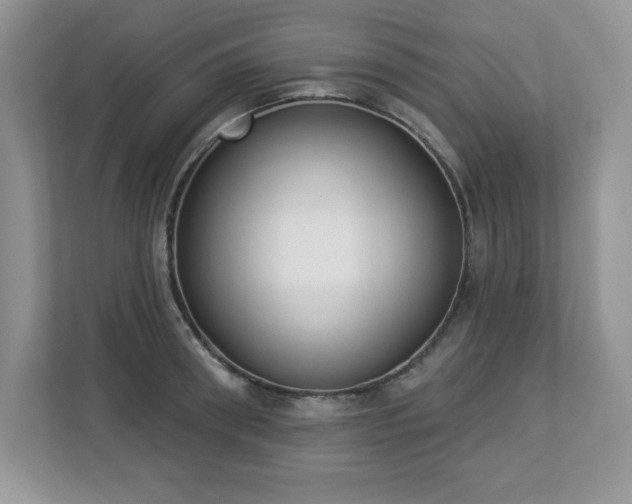 X0000112860898200908211318