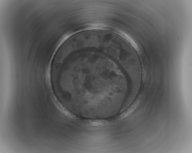 X0000112860899200908211318