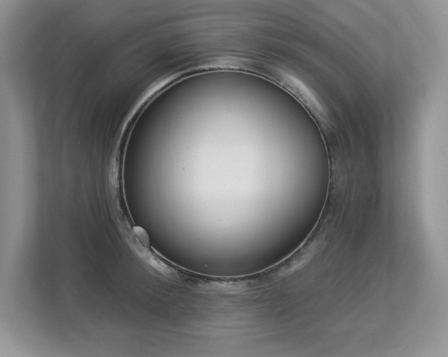 X0000112860900200908211318