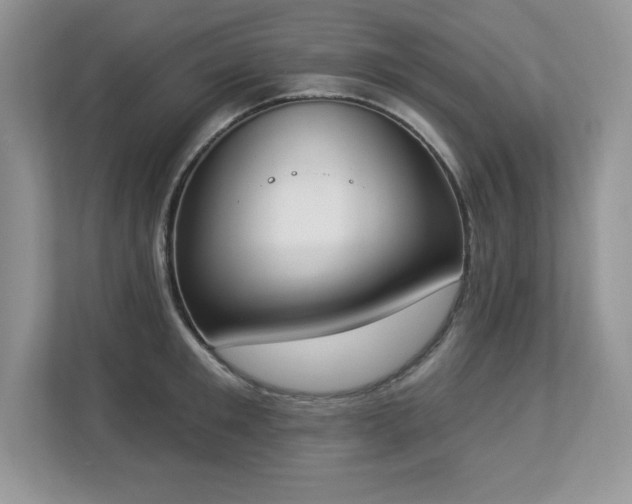 X0000112860901200908211318