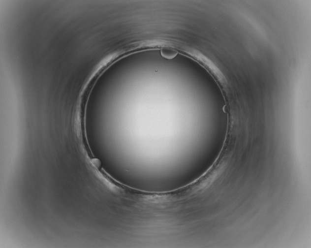 X0000112860902200908211318