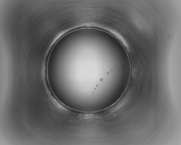 X0000112860903200908211318