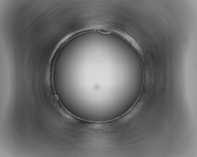 X0000112860904200908211318