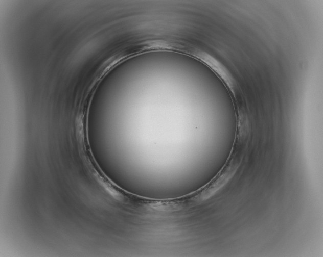 X0000112860906200908211318