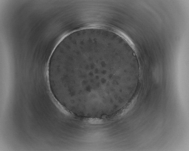 X0000112860907200908211318