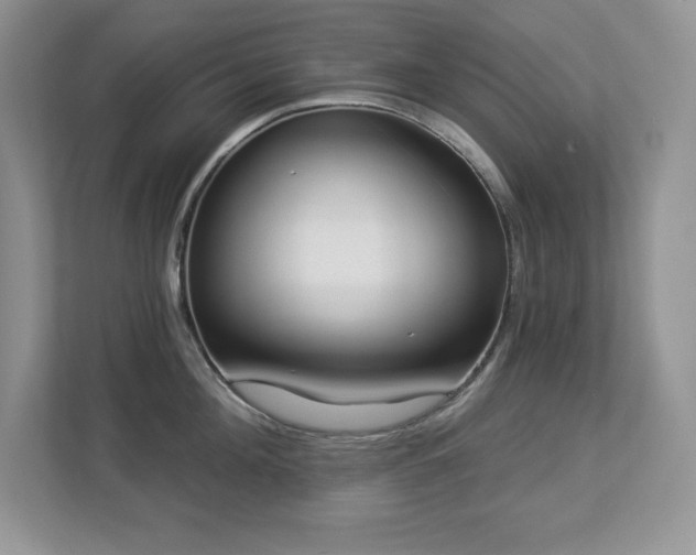 X0000112860908200908211318