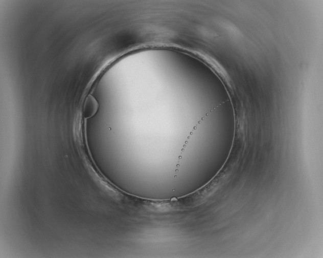 X0000112860911200908211318