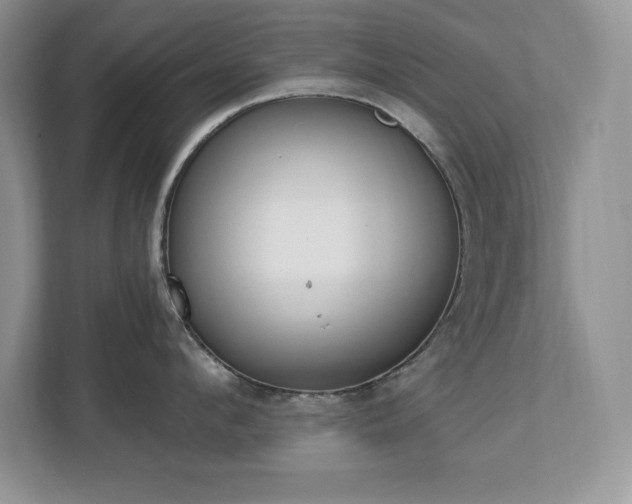 X0000112860912200908211318