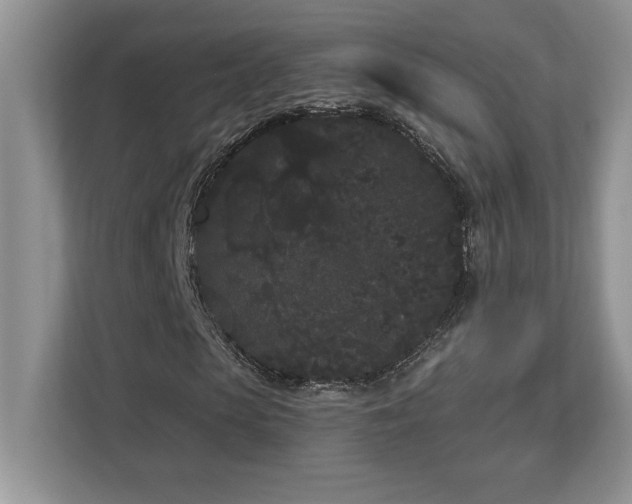 X0000112860913200908211318