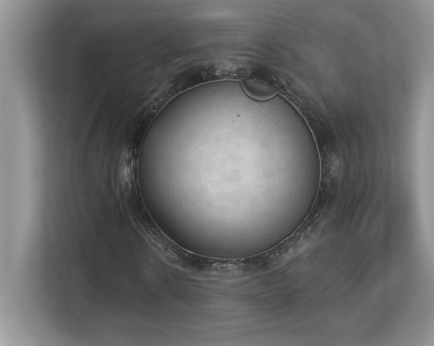 X0000112860914200908211318