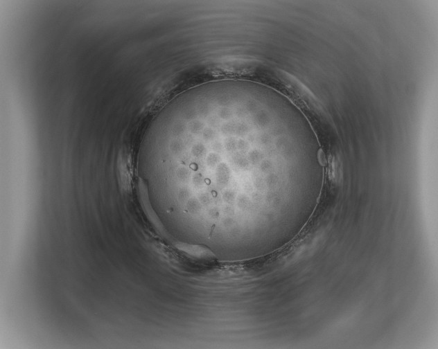 X0000112860915200908211318