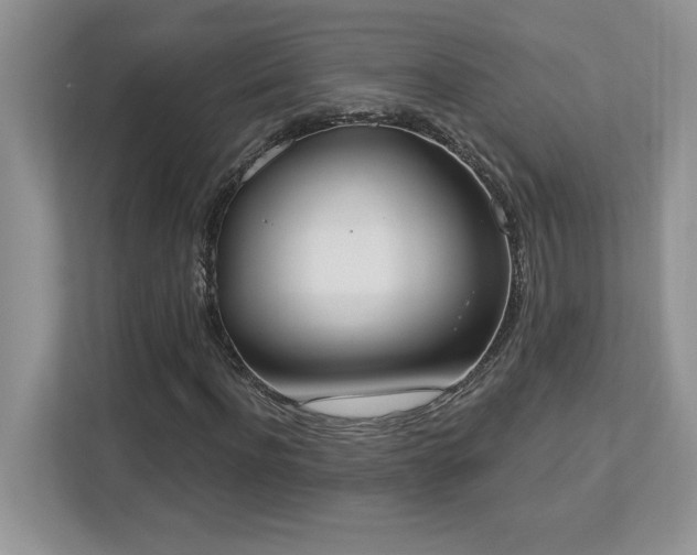 X0000112860916200908211318