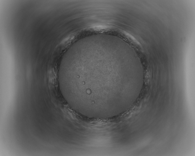 X0000112860917200908211318