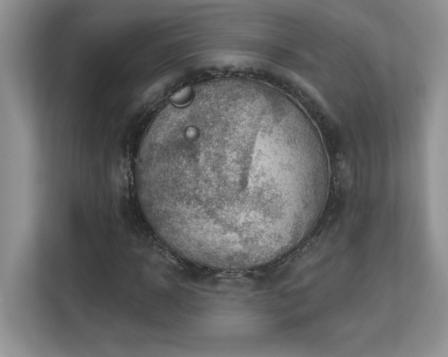 X0000112860918200908211318