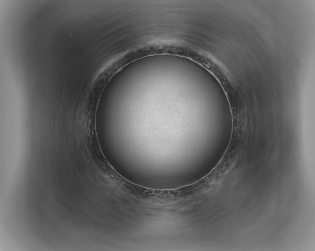 X0000112860919200908211318