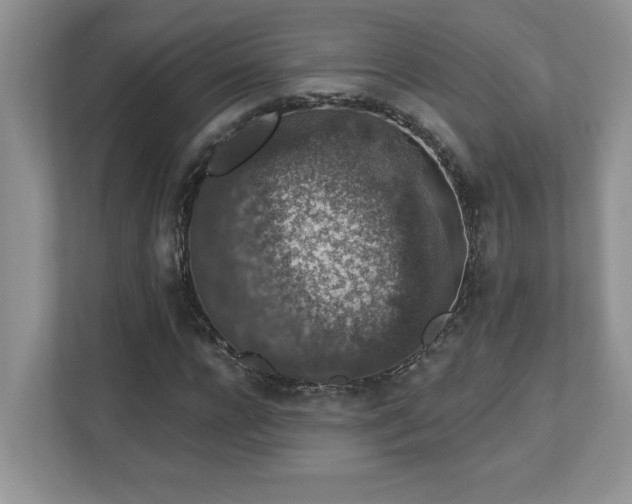X0000112860920200908211318