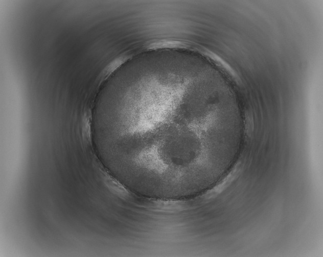 X0000112860921200908211318