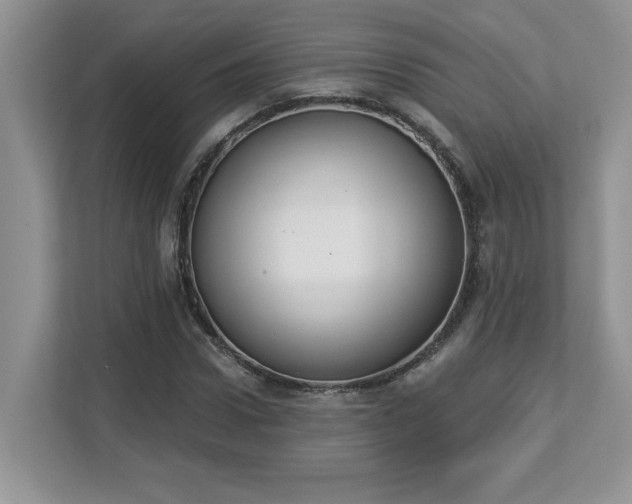 X0000112860922200908211318