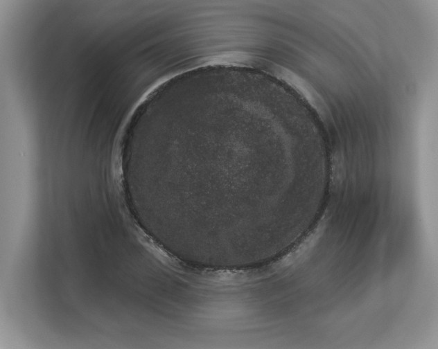 X0000112860923200908211318