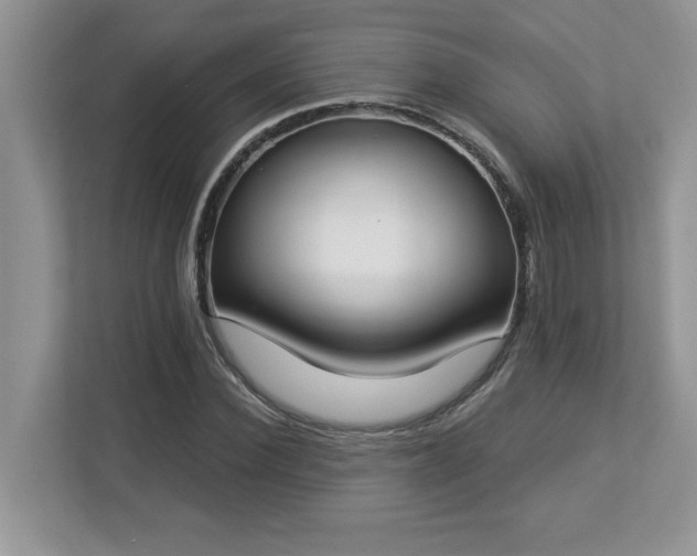 X0000112860924200908211318