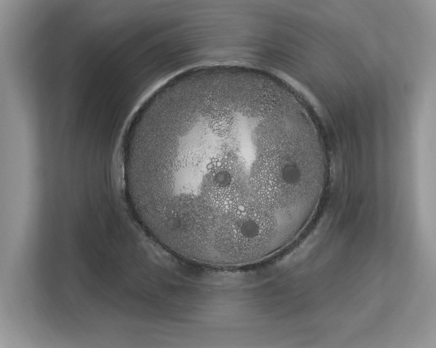 X0000112860925200908211318