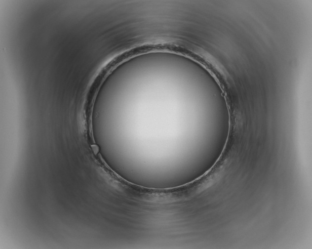 X0000112860927200908211318