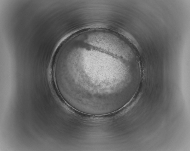 X0000112860928200908211318