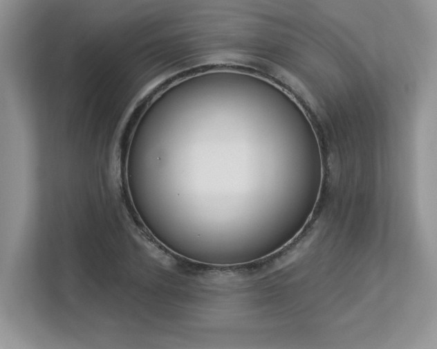X0000112860931200908211318