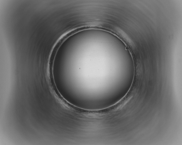 X0000112860932200908211318