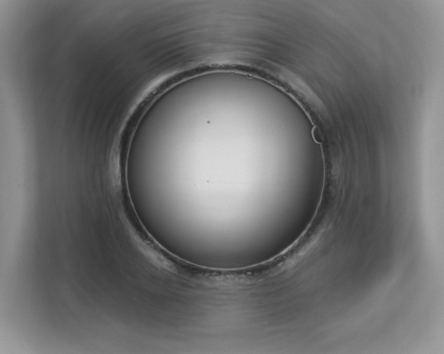 X0000112860934200908211318