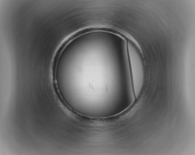 X0000112860935200908211318