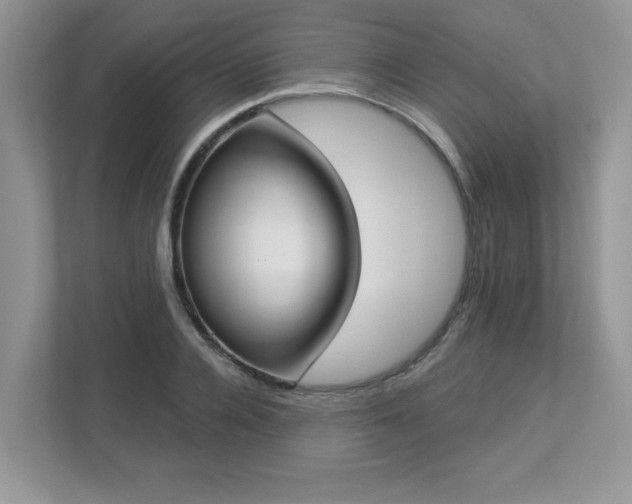 X0000112860936200908211318