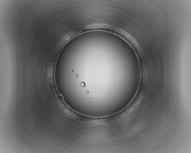 X0000112860937200908211318