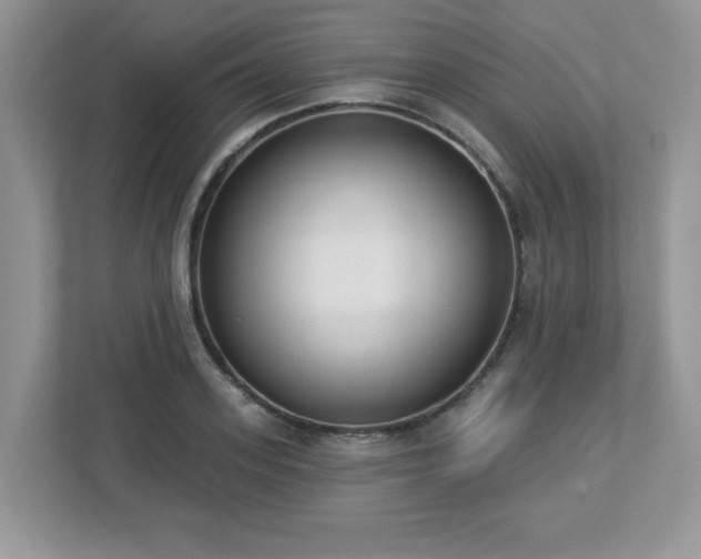 X0000112860939200908211318