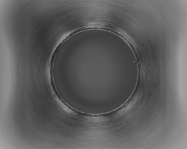 X0000112860941200908211318