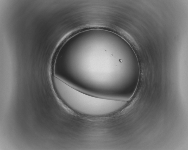 X0000112860942200908211318