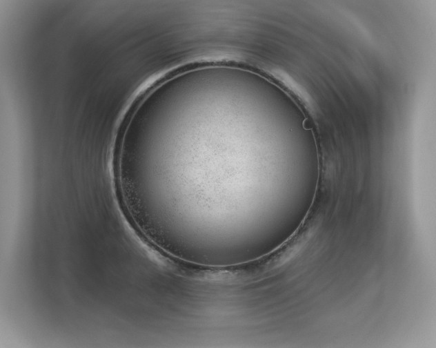 X0000112860943200908211318