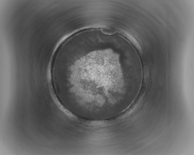 X0000112860944200908211318