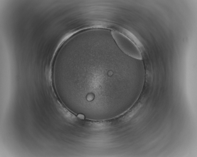 X0000112860948200908211318