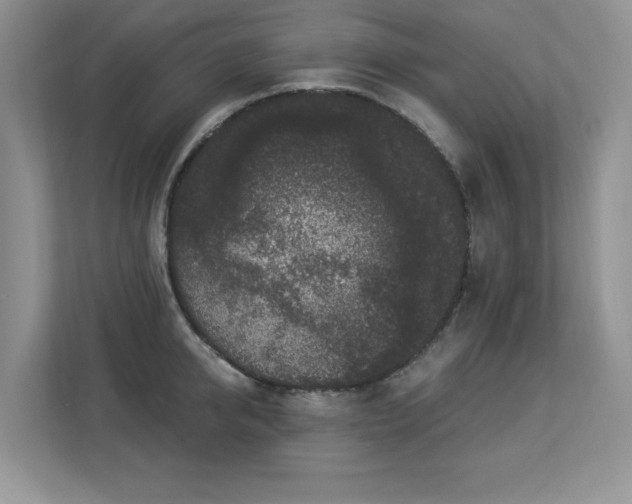 X0000112860950200908211318