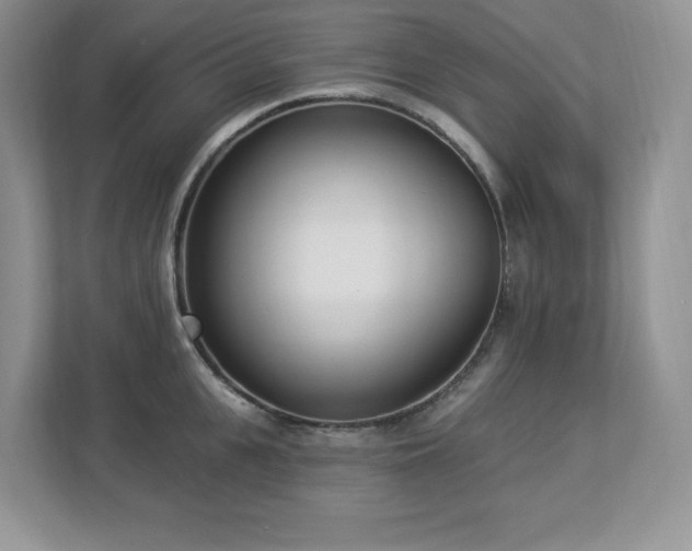 X0000112860951200908211318