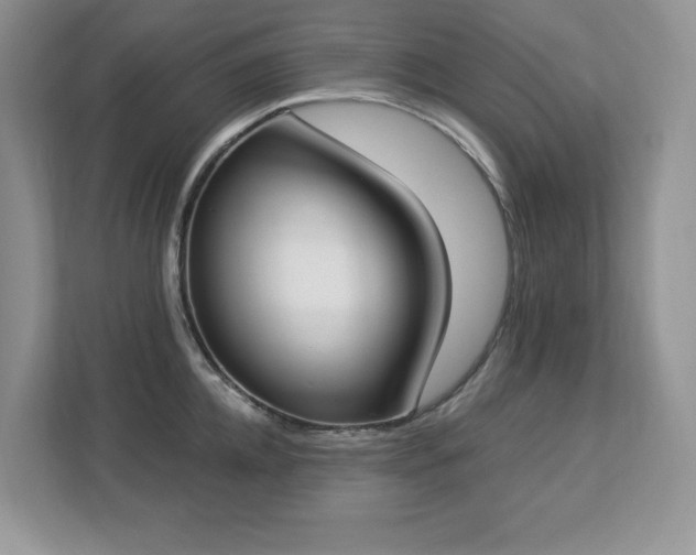 X0000112860952200908211318
