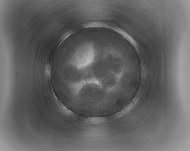X0000112860953200908211318