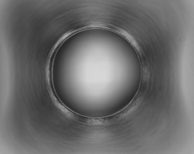 X0000112860955200908211318