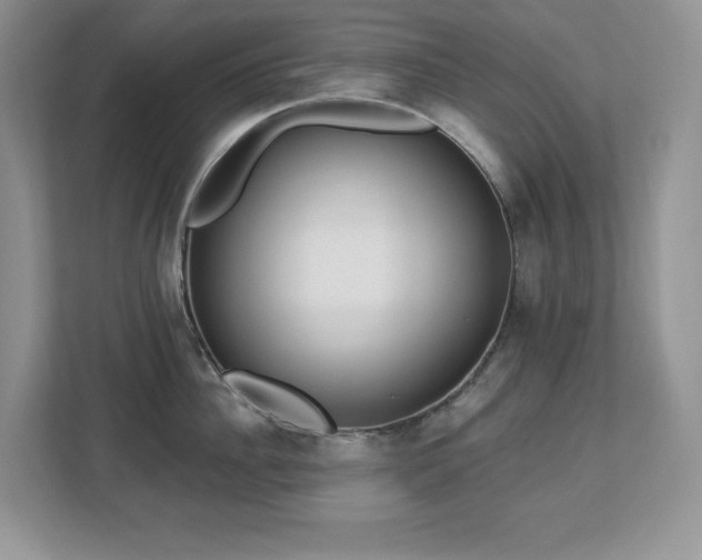 X0000112860956200908211318