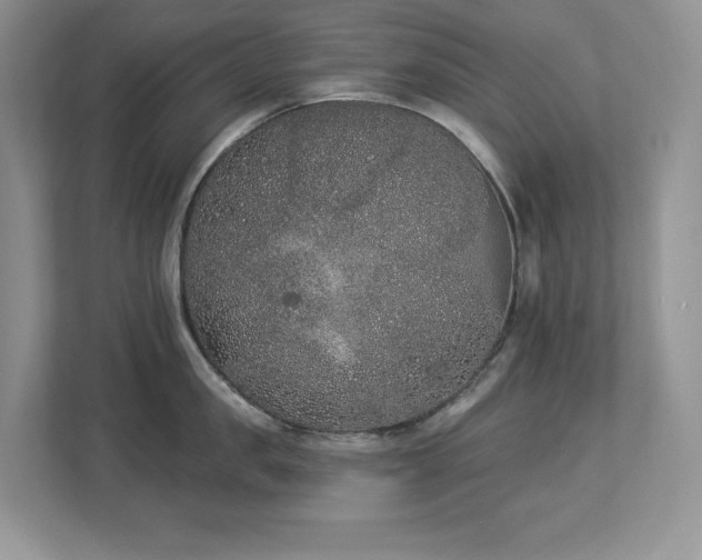 X0000112860957200908211318