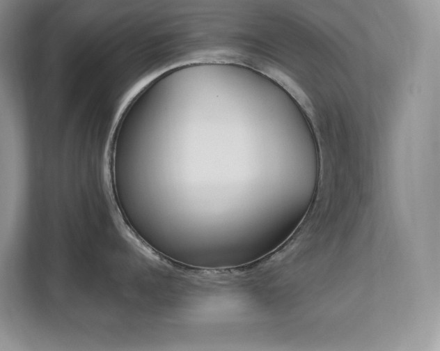 X0000112860960200908211318