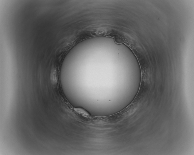 X0000112860962200908211318